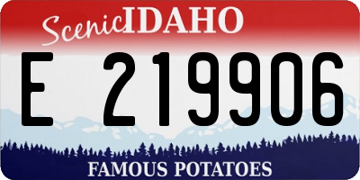 ID license plate E219906