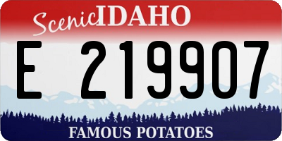 ID license plate E219907