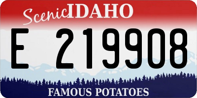 ID license plate E219908