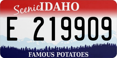 ID license plate E219909