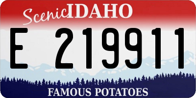 ID license plate E219911