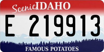 ID license plate E219913