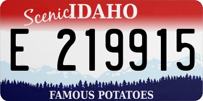 ID license plate E219915