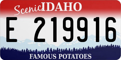 ID license plate E219916