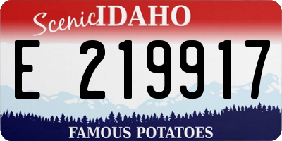 ID license plate E219917