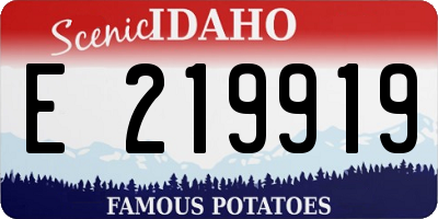ID license plate E219919