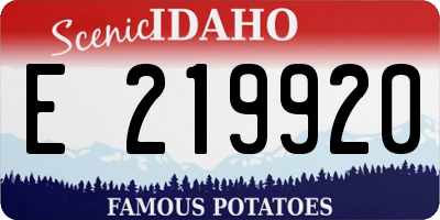 ID license plate E219920