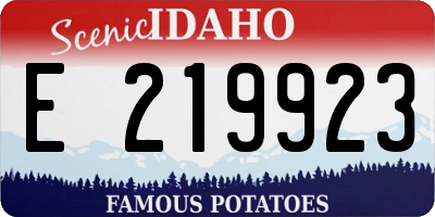 ID license plate E219923