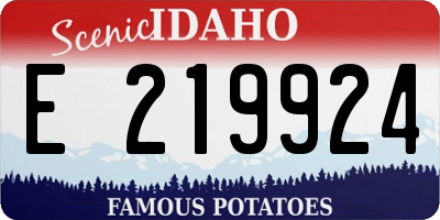 ID license plate E219924