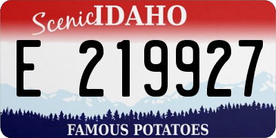 ID license plate E219927