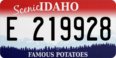 ID license plate E219928