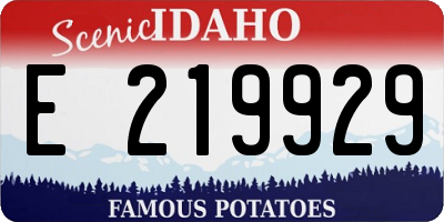ID license plate E219929
