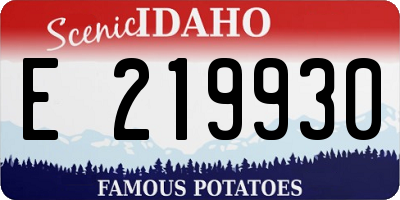 ID license plate E219930