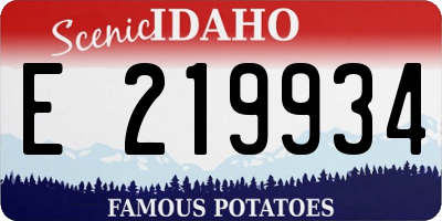 ID license plate E219934