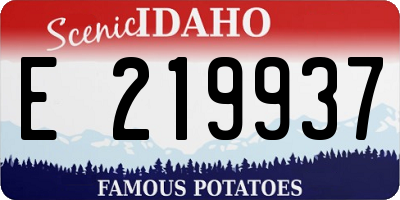 ID license plate E219937