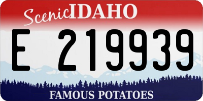 ID license plate E219939