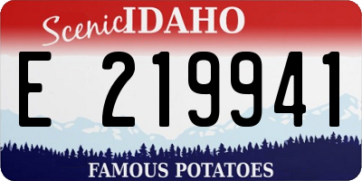 ID license plate E219941
