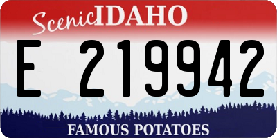ID license plate E219942