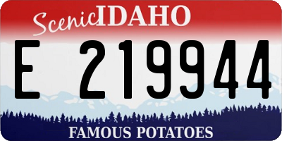 ID license plate E219944