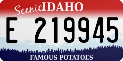 ID license plate E219945