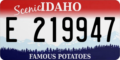 ID license plate E219947