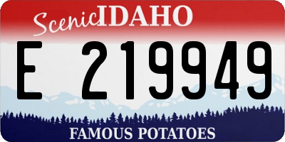 ID license plate E219949