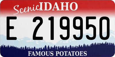 ID license plate E219950