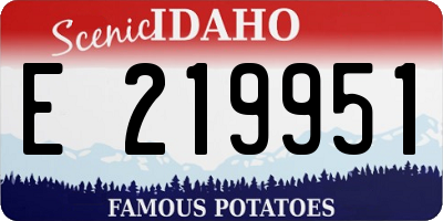 ID license plate E219951