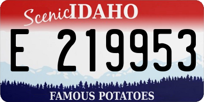 ID license plate E219953
