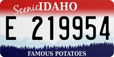 ID license plate E219954