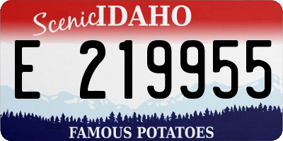ID license plate E219955