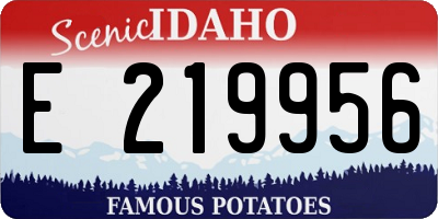 ID license plate E219956