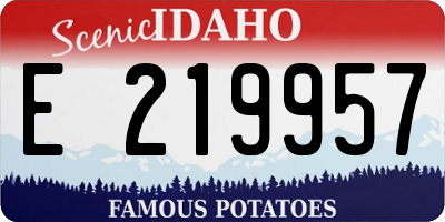 ID license plate E219957
