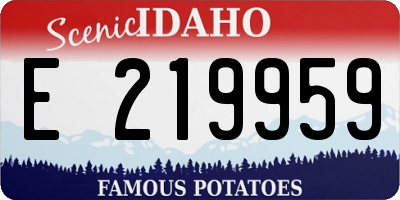 ID license plate E219959