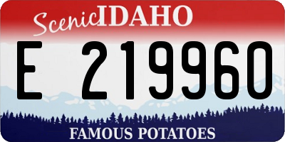 ID license plate E219960