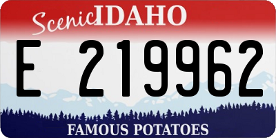 ID license plate E219962