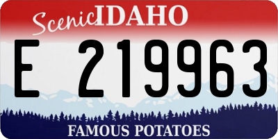 ID license plate E219963