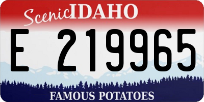 ID license plate E219965