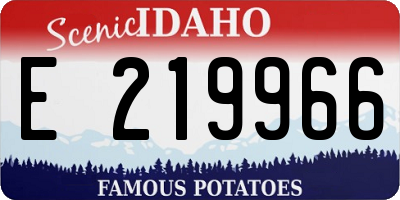 ID license plate E219966