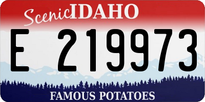 ID license plate E219973
