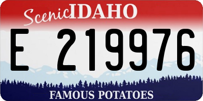 ID license plate E219976