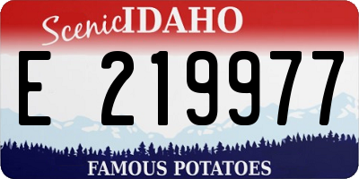 ID license plate E219977