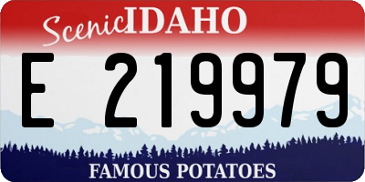 ID license plate E219979