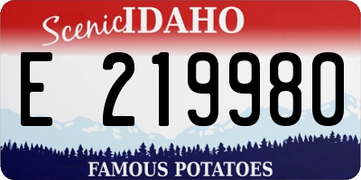ID license plate E219980