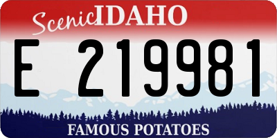 ID license plate E219981
