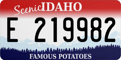 ID license plate E219982