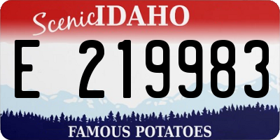 ID license plate E219983