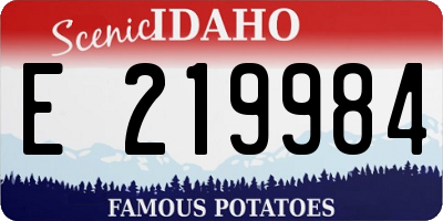 ID license plate E219984