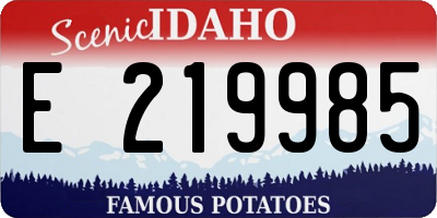 ID license plate E219985