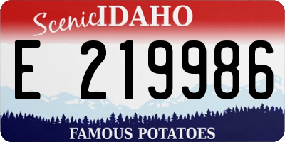 ID license plate E219986